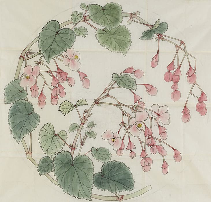 柴田是真《千種之間天井綴織下図》より「秋海棠」明治20年（1887）　東京藝術大学蔵