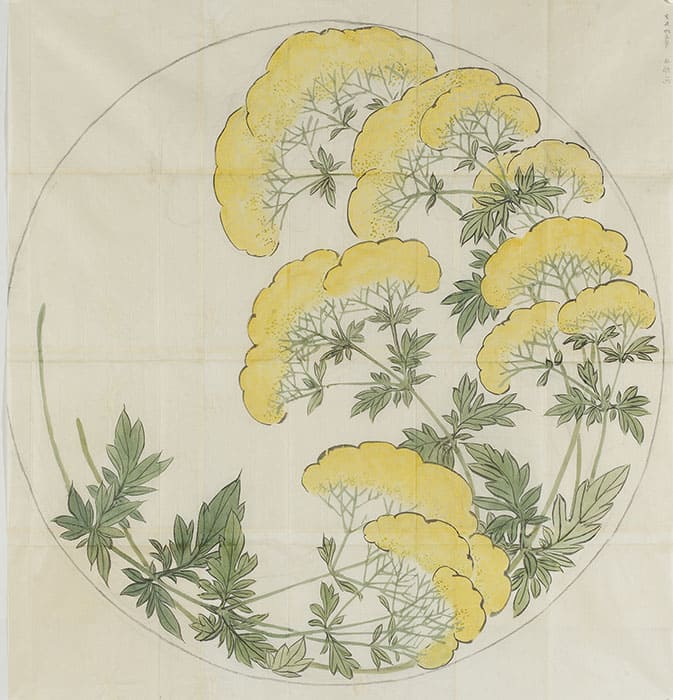 柴田是真《千種之間天井綴織下図》より「女郎花」明治20年（1887）　東京藝術大学蔵