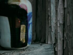 「百田 暁生 / Akio Momota｜1616 / arita japan Exhibition」一初