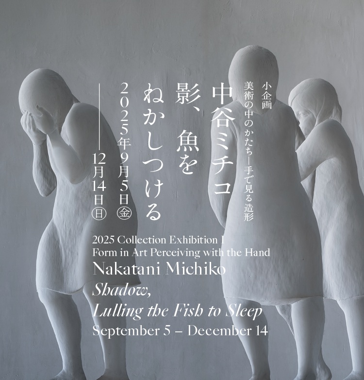 2025 コレクション展Ⅰ 小企画「美術の中のかたち─手で見る造形　中谷ミチコ　影、魚をねかしつける」兵庫県立美術館
