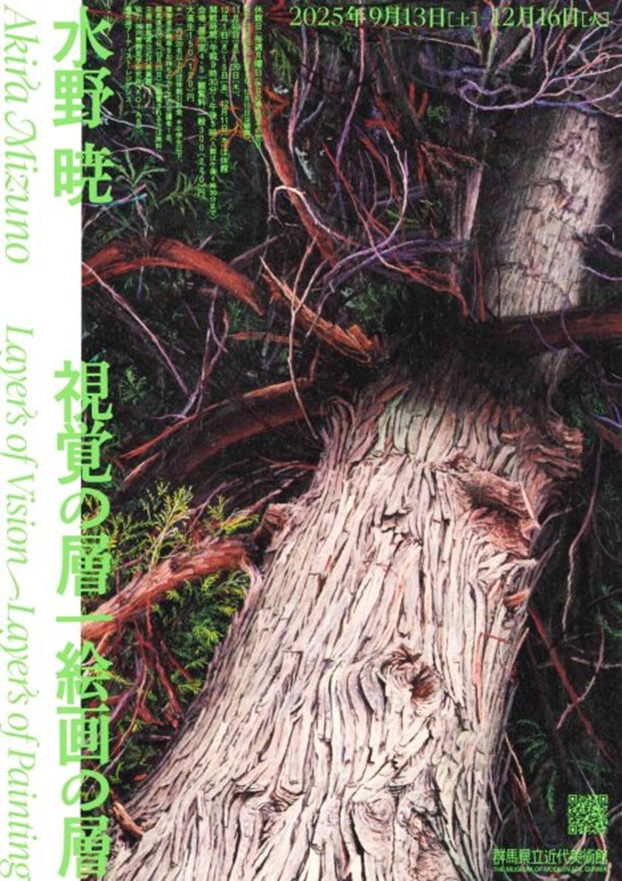 「水野 暁　視覚の層 | 絵画の層」群馬県立近代美術館