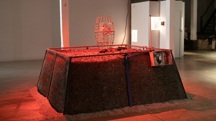 写真：Daniel James Grant 提供：アーティスト