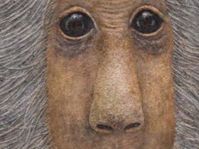 堀江栞 個展「書物によせて」Sprout Books and Art