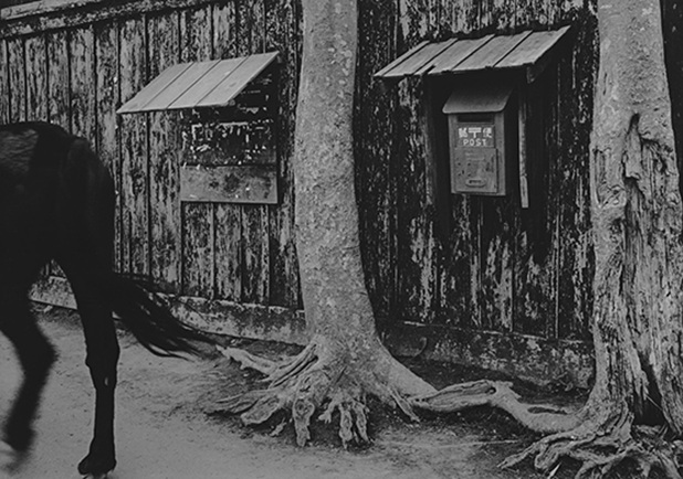 木村伊兵衛 《板塀、追分、秋田》 1953年 ⒸNaoko Kimura