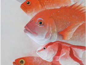 「赤い魚」8号、紙本彩色