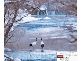 「鶴を待つvol.6 小西裕介写真展」みなとみらいギャラリー