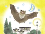 絵本『こうもり』表紙