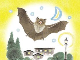 絵本『こうもり』表紙