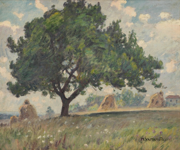 山本森之助《樹》　制作年未詳