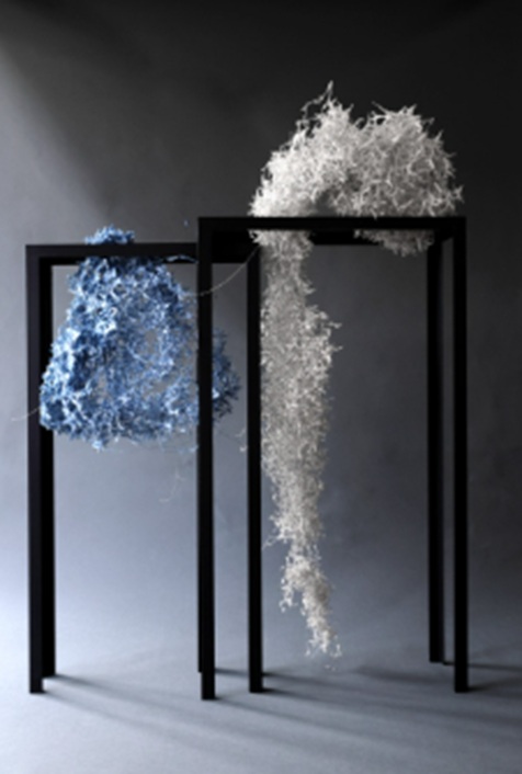 「平岩共代：存在の痕跡 ‐見えてきたもの‐　Traces of Existence:What Has Become Visible」O美術館