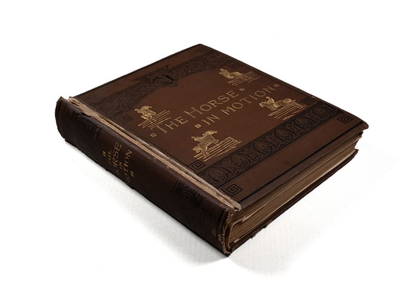 『The Horse in Motion（動く馬）』（J. D. B. スティルマン, エドワード・マイブリッジ著,ボストン, J. R. オズグッド・アンド・カンパニー,1882年）