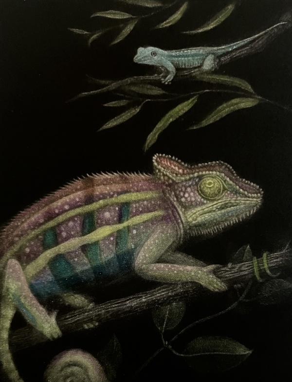 「chameleon Ⅱ」18×14cm
