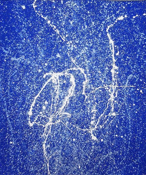 「蒼い夢」　

ジクレー、キャンバス、メディウム加工

47 × 38 cm（イメージサイズ）