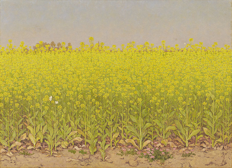 《菜の花》　昭和40年（1965）、ブルーミング中西株式会社蔵