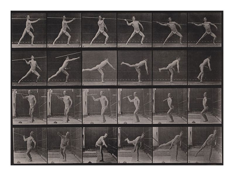 エドワード・マイブリッジ 《槍の投てき》 1884-1885年 撮影 〈アニマル・ロコモーション〉より