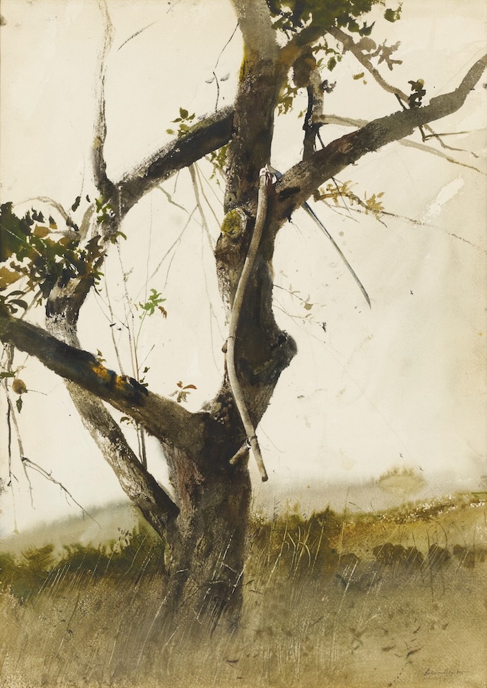 アンドリュー・ワイエス《木に懸かった大鎌》1958年、ユニマットグループ蔵 © 2025 Wyeth Foundation for American Art / ARS, New York / JASPAR, Tokyo X0456