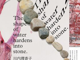 川内理香子 「The shape of water hardens into stone.」黒部市美術館