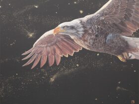 「 Grazioso－Bald Eagle 」 30号F