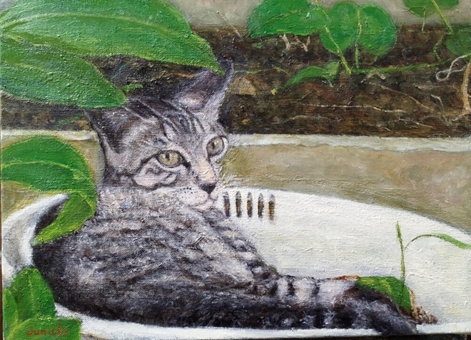 「ギャッツ」F4