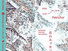 宮窪ツグミ「Petrichor（ペトリコール）」VALLOON STUDIO 渋谷