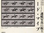 動画の原点『アニマル・ロコモーション』 「連続写真に取り憑かれた男 エドワード・マイブリッジ」写真歴史博物館