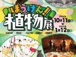 「ぼうけん！植物展」浜田市世界こども美術館