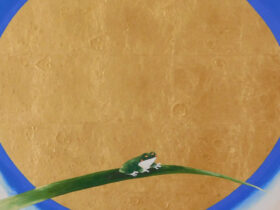 「月と蛙 －月を眺めて－」F10号 箔・岩絵具・紙本彩色