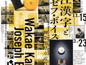 「若江漢字とヨーゼフ・ボイス 撮影されたボイスの記録、そして共振」神奈川県立近代美術館　葉山