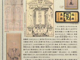 「医にまつわるエトセトラ～解剖図から薬看板まで～」渡辺美術館