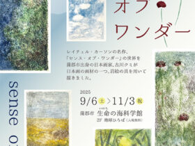 ミニ企画展「センス・オブ・ワンダー」蒲郡市生命の海科学館