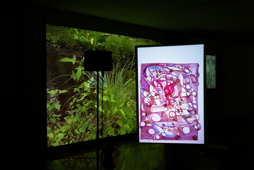 《草の根のリズム》2023-2025年 サウンドビデオインスタレーション　撮影：藤倉翼