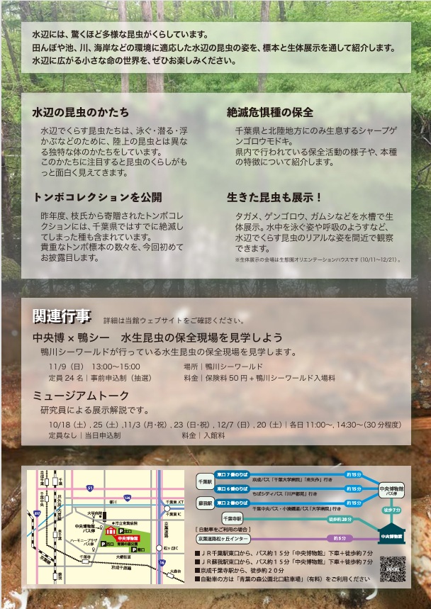 「水辺の昆虫」千葉県立中央博物館