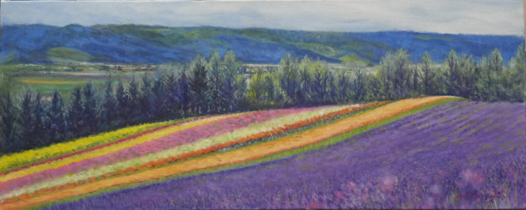 「彩りの畑」（富田ファーム）</span><br />WF3号