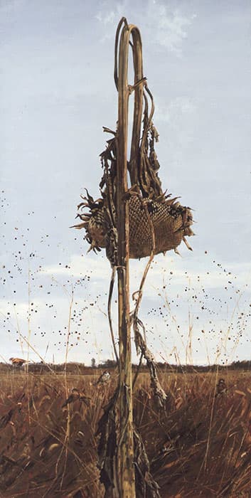 冬野　120号　1991年