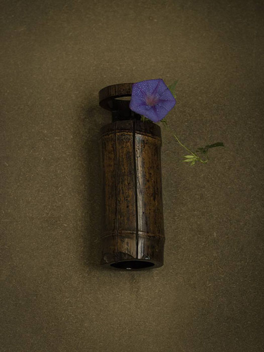 千利休 竹一重切花入 銘「江之浦」　桃山時代　小田原文化財団蔵 杉本コレクション　通期展示
Photo: Masatomo Moriyama