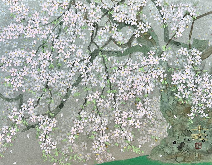 中島千波「荘川_光輪寺の桜」6F