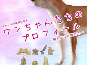 企画展「ワンちゃんたちのプロフィール―縄文から古墳まで―」尼崎市立歴史博物館田能資料館