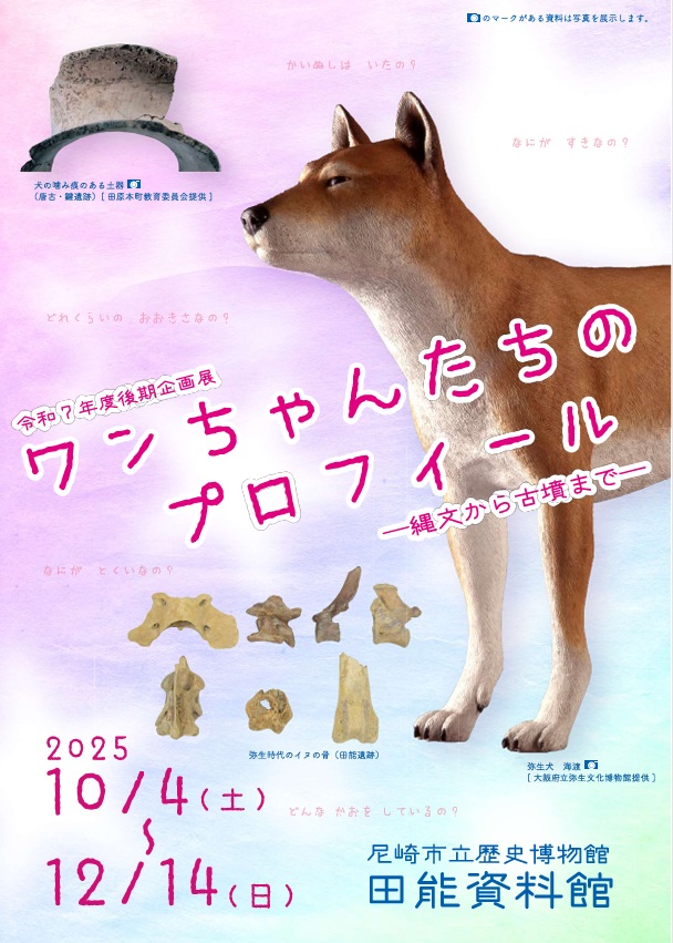 企画展「ワンちゃんたちのプロフィール―縄文から古墳まで―」尼崎市立歴史博物館田能資料館