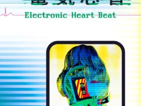 「江康泉　電気心音」金沢21世紀美術館