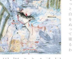 「田畑あきら子展」新潟県立万代島美術館