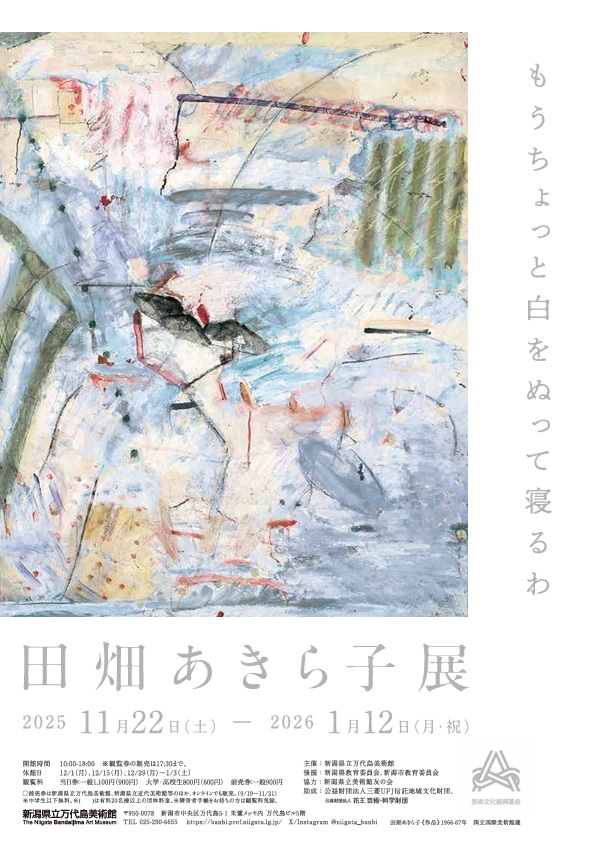 「田畑あきら子展」新潟県立万代島美術館