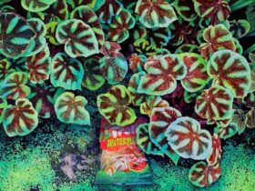 池尻育志 「ゆめのあと」靖山画廊