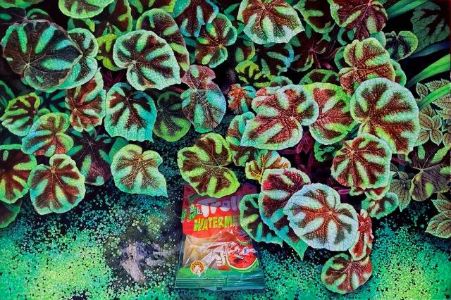 池尻育志 「ゆめのあと」靖山画廊