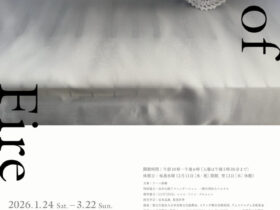 「向井山朋子　Act of Fire」アーツ前橋