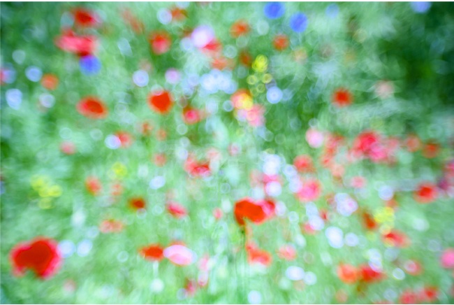 飯田信雄 True Colors-#15 サイズ可変/ベニヤパネル、ジェッソ、UVプリント/2025年制作