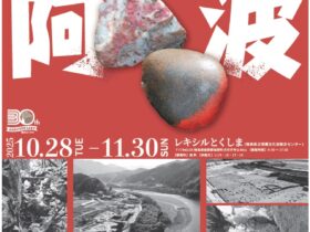 開館30周年記念特別展示「掘ったでよ阿波」徳島県立埋蔵文化財総合センター