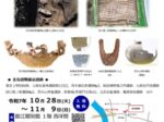 発掘調査速報展示「新出土文化財展2025」臨江閣別館