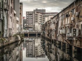 杉浦正和「日本迷幻街」京都写真美術館 ギャラリー・ジャパネスク