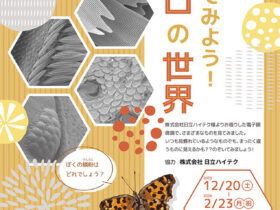 写真展「 のぞいてみよう！ミクロの世界」蒲郡市生命の海科学館