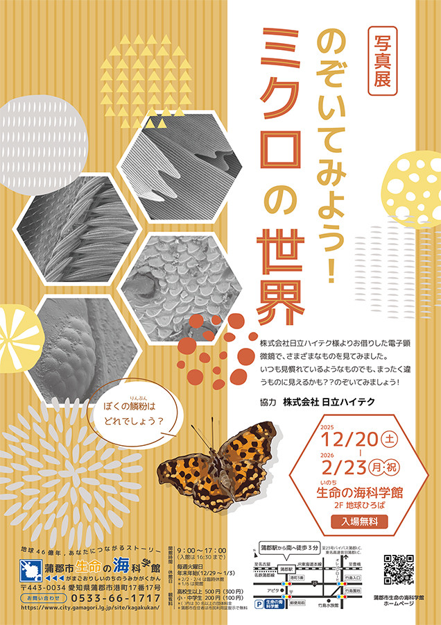 写真展「 のぞいてみよう！ミクロの世界」蒲郡市生命の海科学館